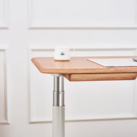 White Oak Smart Standing Desk